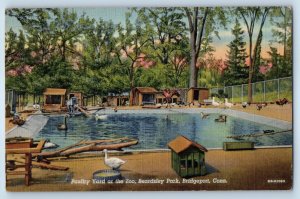1940 Bridgeport Connecticut CT Vintage Postcard Poultry Yard Zoo Beardsley Park