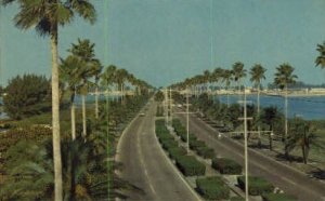 Memorial Causeway - Clearwater, Florida FL