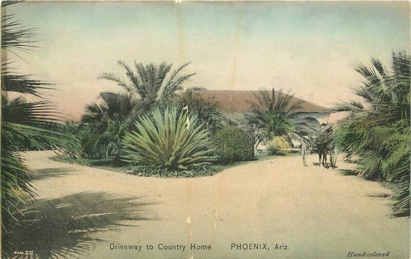 C-1910 Driveway Country Home Phoenix Arizona Hand colored Postcard 20-1786