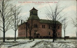 Colebrook Ohio OH Park and Centeral School Bldg c1910 Vintage Postcard