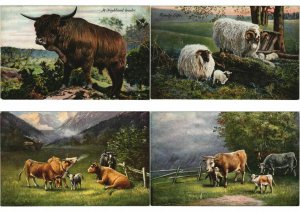 ANIMAUX ANIMALS Mostly ARTIST SIGNED ILLUSTRATEUR 60 CPA (L4538)