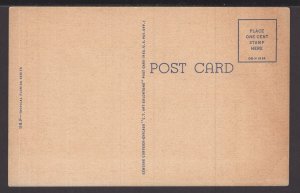 Camellia Time at Florida Cypress Gardens ~ Linen