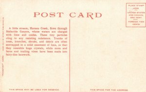 Vintage Postcard 1920's Stalyctite Creek Basin Grand Canyon Arizona Havasu Creek