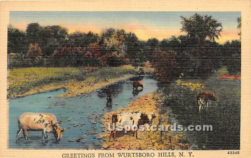 Greetings From - Wurtsboro Hills, New York