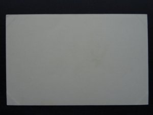 Bird Theme NUTHATCH c1920s Postcard by Caperns Bird Food