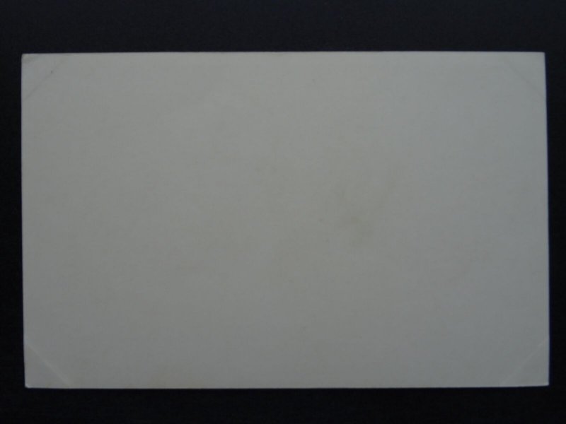 Bird Theme NUTHATCH c1920s Postcard by Caperns Bird Food