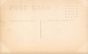 Black and White Photo Cow Postcard