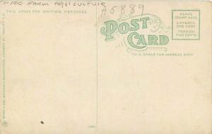 C-1910 Tobacco Field Lexington Kentucky Wrenn King Postcard Farm Agriculture 10