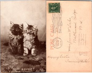 Sooty & Sweet (11792)