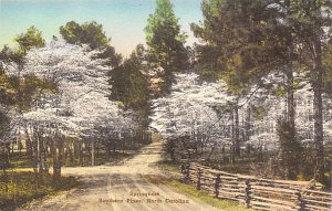 Springtime, Southern Pines North Carolina, USA Tree Unused 