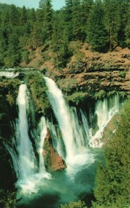 Vintage Postcard Burney Creek Water Falls State Park California CA