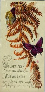 1870s-80s Golden Fern Butterflies Christmas Days Embossed Victorian Card F21