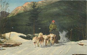 Dogs North Woodstock New Hampshire Ed Clark's Eskimo Sled Postcard 20-1923