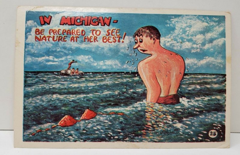 Michigan, Nature at her Best, Bra in The Ocean Signed Mitchell Postcard C21 