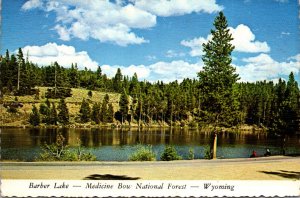 Wyoming Medicine Bow National Forest Barber Lake