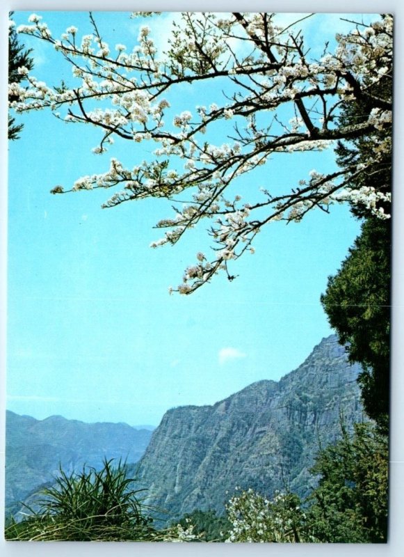 Mt. Ali - Taiwan 4x6 Postcard