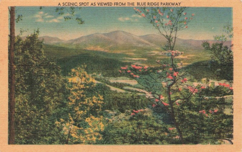 Postcard Blue Ridge Parkway North Carolina