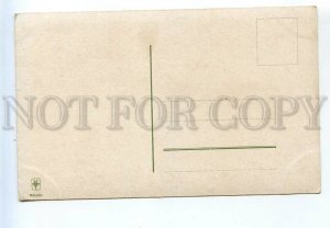 521856 HUNT Dog BORZOI Vintage postcard KT RUSSIA