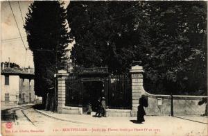 CPA MONTPELLIER - Jardin des Plantes fondé par Henri IV en 1593 (511243)