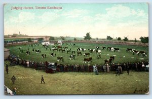 Ontario Canada Postcard Judging Horses Toronto Exhibition 1909 Antique