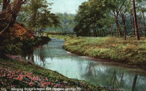 Vintage Postcard 1909 Swinging Bridge in Regent Park Excelsior Springs Missouri