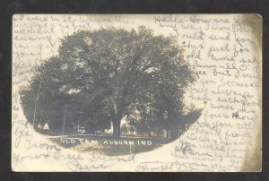 RPPC AUBURN INDIANA OLD ELM HUGE TREE 1906 COLBURN REAL PHOTO POSTCARD