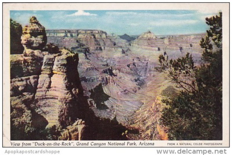 Arizona Grand Canyon National Park View From Duck in The Rock 1949