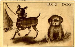 Greeting - General. Lucky Dog