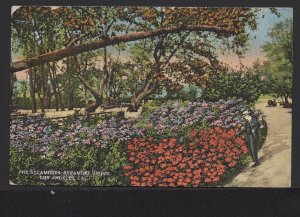California LOS ANGELES The Sycamores, Sycamore Grove Vine Flower pm 1922 ~ DB