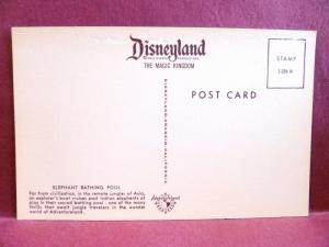 Postcard CA Anaheim Disneyland Elephat Bathing Pool Jungle Cruise Ride