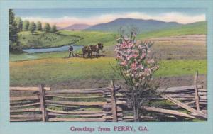 Georgia Greetings From Perry
