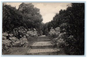 Old Steps And Azaleas Axis Walk Middleton Place Gardens Charleston SC Postcard