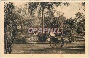 Old Postcard Saigon A corner of the Botanical Garden