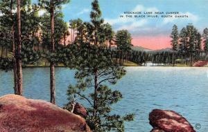 CUSTER, SD  South Dakota   STOCKADE LAKE-The Black Hills  c1940's Linen Postcard