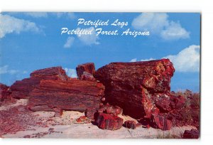 Arizona AZ Vintage Postcard Petrified Forest View of Petrified Logs