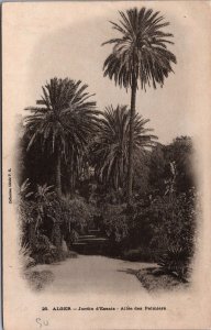 Algeria Alger Jardin d'Essais Vintage Postcard C145