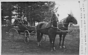 WISCONSIN~COUPLE IN 2 HORSE CARRIAGE-BADGER MULTISCOPE REAL PHOTO POSTCARD