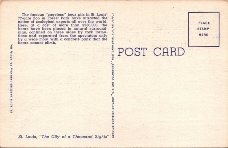 Postcard Cageless Polar Bear St Louis Mo Linen K6