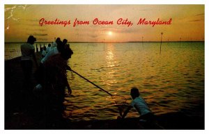 Postcard PIER SCENE Ocean City Maryland MD AU0259