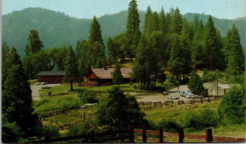 Motel Lodge Grocery Store Camp Nelson California CA Postcard VTG UNP Vintage 