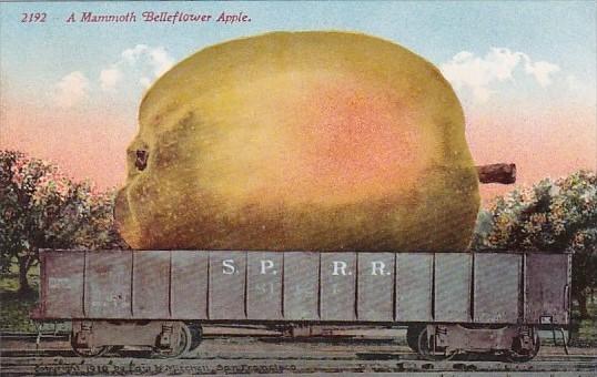 Exageration A Mammoth Belleflower Apple On Railroad Car