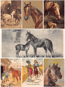 Horse Pony selection etc lot of 7 postcards B895
