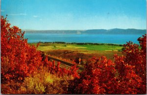 Bear Lake & Garden City Idaho Utah Autumn C1950s Vintage Postcard