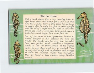 Postcard The Sea Horse, Florida