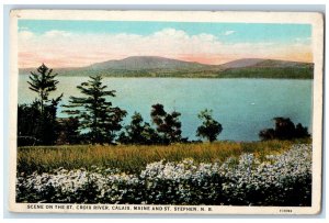 c1930's Scene On St. Croix River Calais Maine And St. Stephen N. B. Postcard 