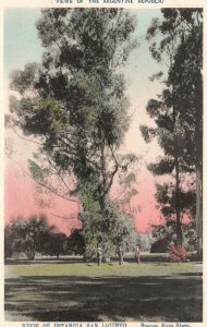 Vintage Postcard View Of Estancia San Jacinto Buenos Aires State Argentina