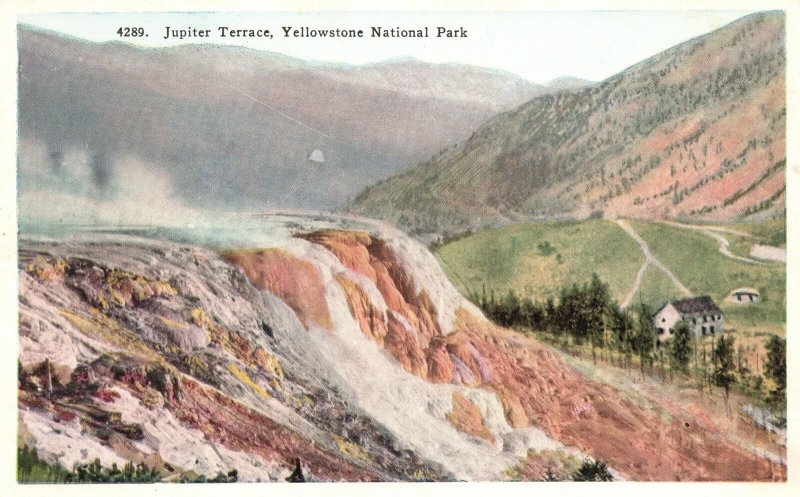 Vintage Postcard 1920's Jupiter Terrace Yellowstone National Park Wyoming WY