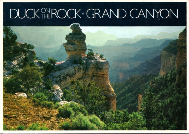 Postcard AZ - Grand Canyon -  Duck on the Rock