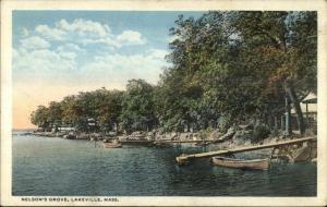 Lakeville MA Nelson's Grove c1920 Postcard