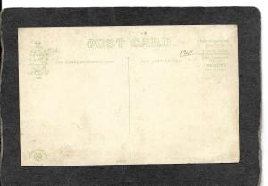 Florida-Double Headed Rattler 1908 - antique postcard